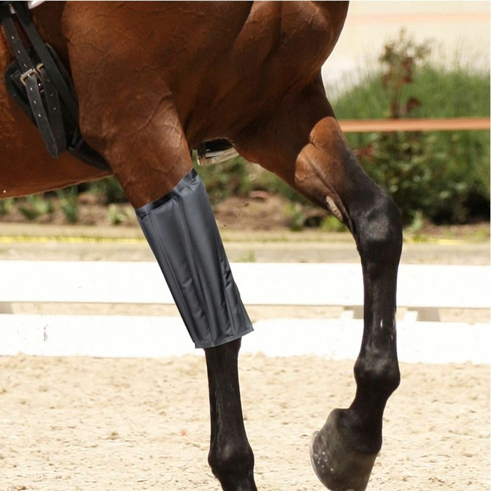 The Range | Gr8 Home Horse Knee Support Brace - Black Gr8 Home Horse Knee Support Brace - Black