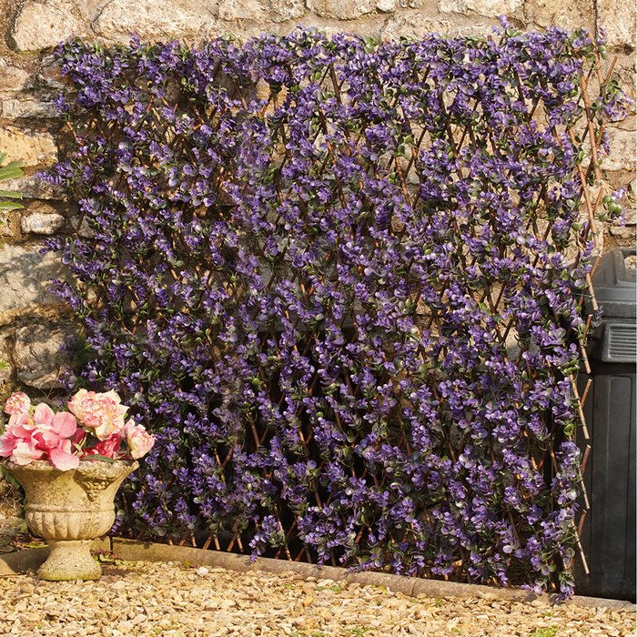The Range | Garden Gear Garden Gear Lavender Folding Hedge Trellis 1x2m Garden Gear Garden Gear Lavender Folding Hedge Trellis 1x2m