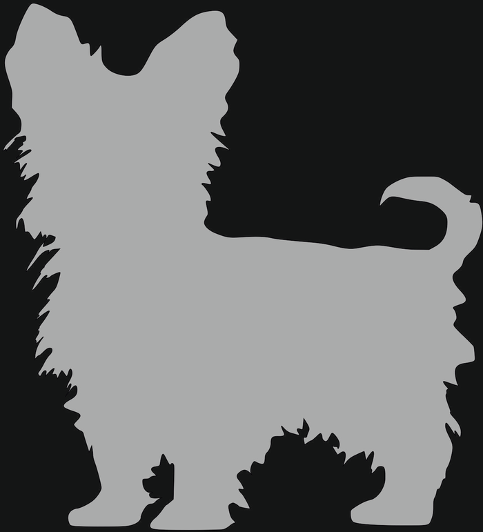 The Range | Pet Mirrors Yorkshire Terrier Style 4 Silver Acrylic Mirror - Silver / Medium Pet Mirrors Yorkshire Terrier Style 4 Silver Acrylic Mirror - Silver / Medium