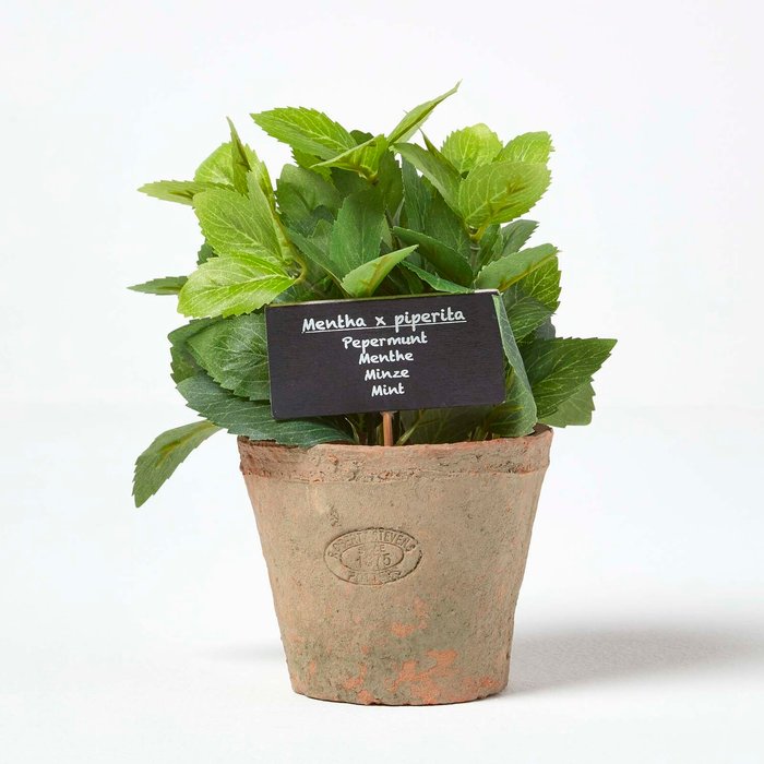 The Range | Homescapes Artificial Mint Plant in Decorative Pot - Terracotta Homescapes Artificial Mint Plant in Decorative Pot - Terracotta