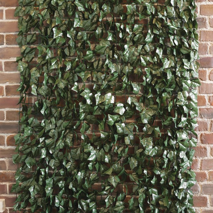 The Range | My Garden Dark Green Ivy Fence My Garden Dark Green Ivy Fence