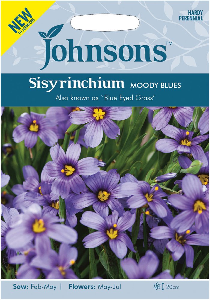 The Range | Mr Fothergill's Seeds Sisyrinchium Moody Blues Mr Fothergill's Seeds Sisyrinchium Moody Blues