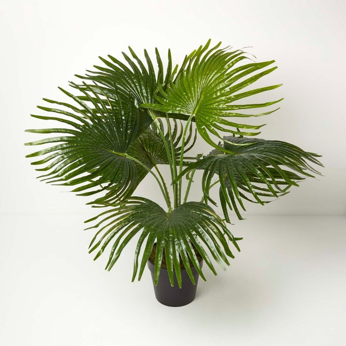 The Range | Homescapes Homescapes Artificial Fan Palm Tree in Pot, 80 cm Tall - Green Homescapes Homescapes Artificial Fan Palm Tree in Pot, 80 cm Tall - Green
