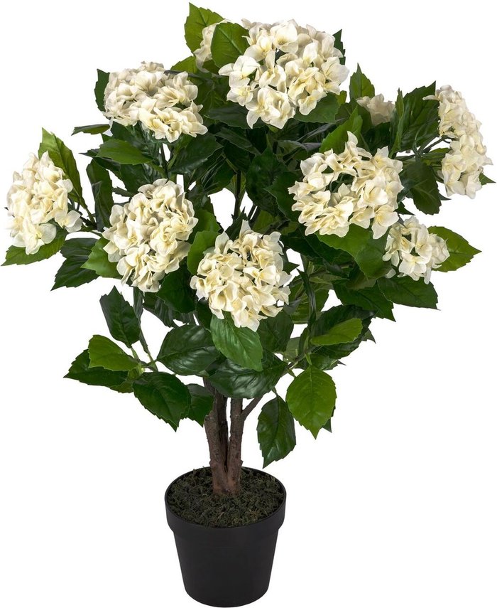 The Range | Homescapes Homescapes Artificial Cream Hydrangea in Black Pot, 85 cm - Natural Homescapes Homescapes Artificial Cream Hydrangea in Black Pot, 85 cm - Natural