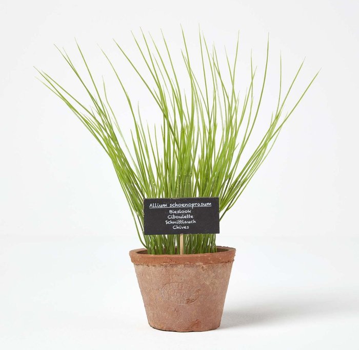 The Range | Homescapes Homescapes Artificial Chive Plant in Decorative Pot - Terracotta Homescapes Homescapes Artificial Chive Plant in Decorative Pot - Terracotta