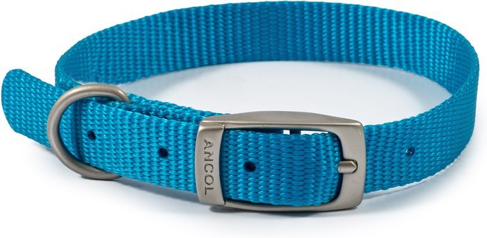 The Range | Ancol Viva Dog Collar - Blue / 26 - 31cm Neck Ancol Viva Dog Collar - Blue / 26 - 31cm Neck
