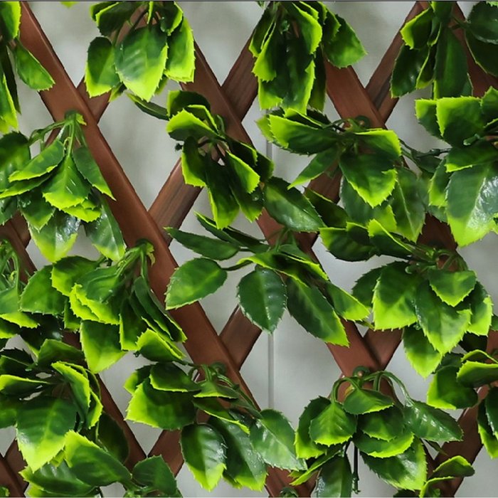 The Range | Samuel Alexander 1 x 2m Trellis PE Backed Privacy Screen - Green / Green Beech Leaf Samuel Alexander 1 x 2m Trellis PE Backed Privacy Screen - Green / Green Beech Leaf