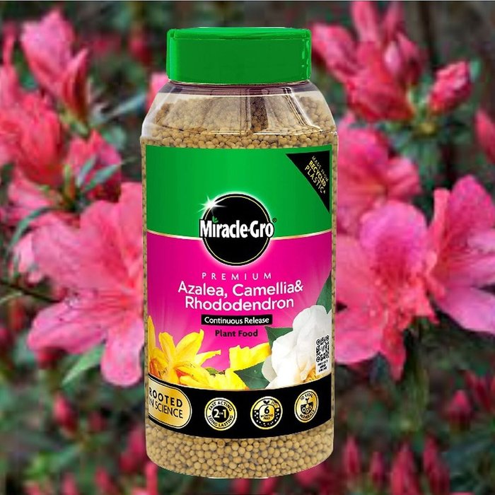 The Range | Miracle-Gro Azalea Camellia Rhododendron Continuous Plant Feed 900g - Natural Miracle-Gro Azalea Camellia Rhododendron Continuous Plant Feed 900g - Natural