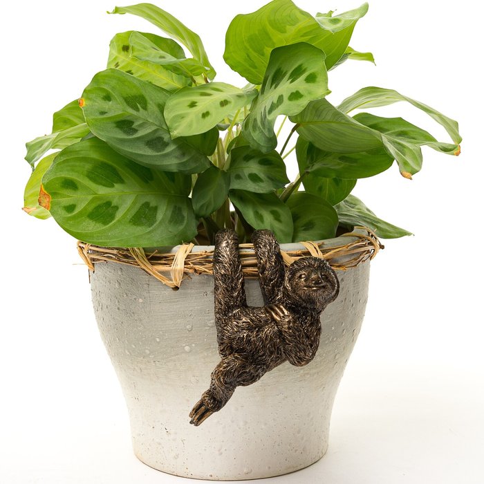 The Range | Pot Buddies Sloth Plant Pot Hanger - Antique Bronze Pot Buddies Sloth Plant Pot Hanger - Antique Bronze