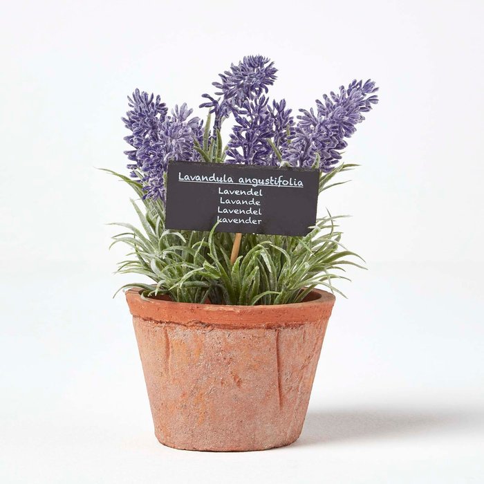 The Range | Homescapes Artificial Lavender Plant in Decorative Pot - Terracotta Homescapes Artificial Lavender Plant in Decorative Pot - Terracotta