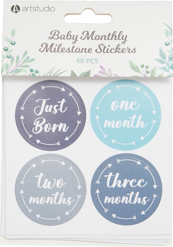 The Range | Art Studio Art Studio Baby Monthly Milestone Stickers Art Studio Art Studio Baby Monthly Milestone Stickers