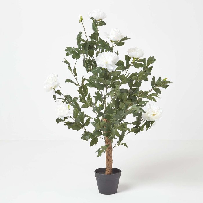 The Range | Homescapes Homescapes Cream Artificial Peony Tree in Black Pot, 100 cm Tall - Cream Homescapes Homescapes Cream Artificial Peony Tree in Black Pot, 100 cm Tall - Cream