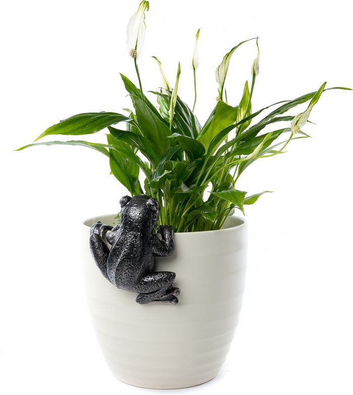 The Range | Pot Buddies Frog Plant Pot Hanger - Antique Bronze Pot Buddies Frog Plant Pot Hanger - Antique Bronze