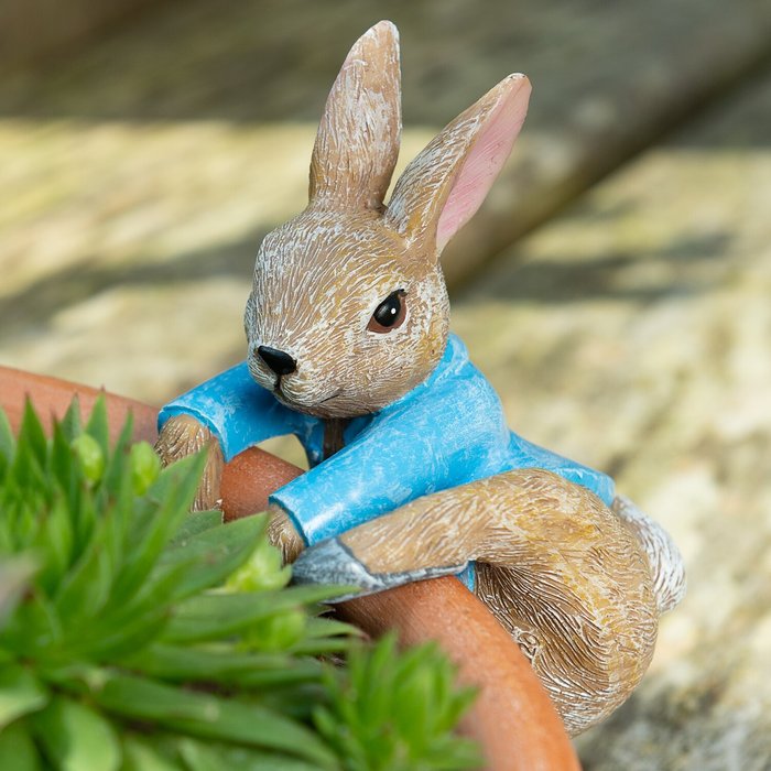 The Range | Pot Buddies Beatrix Potter Peter Rabbit Climbing Plant Pot Hanger - Multicolour Pot Buddies Beatrix Potter Peter Rabbit Climbing Plant Pot Hanger - Multicolour