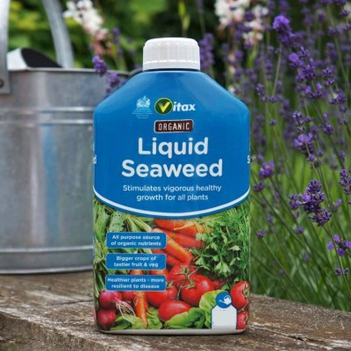 The Range | Vitax Organic Liquid Seaweed 500ml - Neutral Vitax Organic Liquid Seaweed 500ml - Neutral