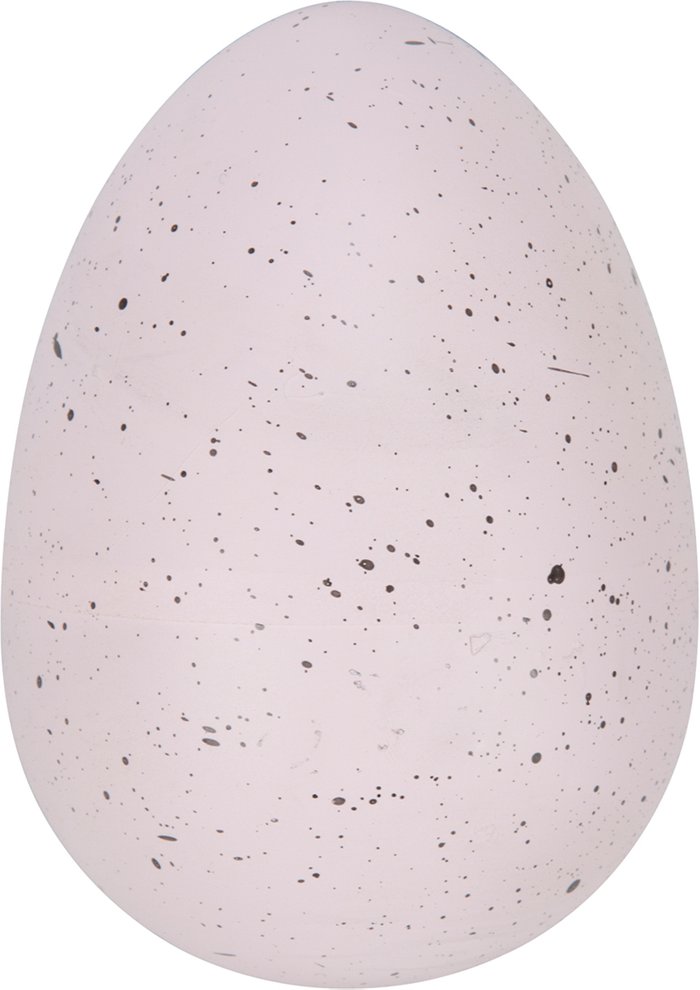 The Range | Everyday Large Growing Dinosaur Egg Everyday Large Growing Dinosaur Egg