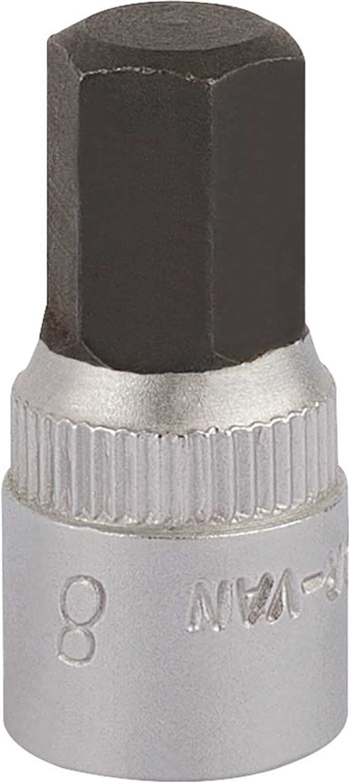 Tooled Up | Elora Elora 1/4 Elora Elora 1/4