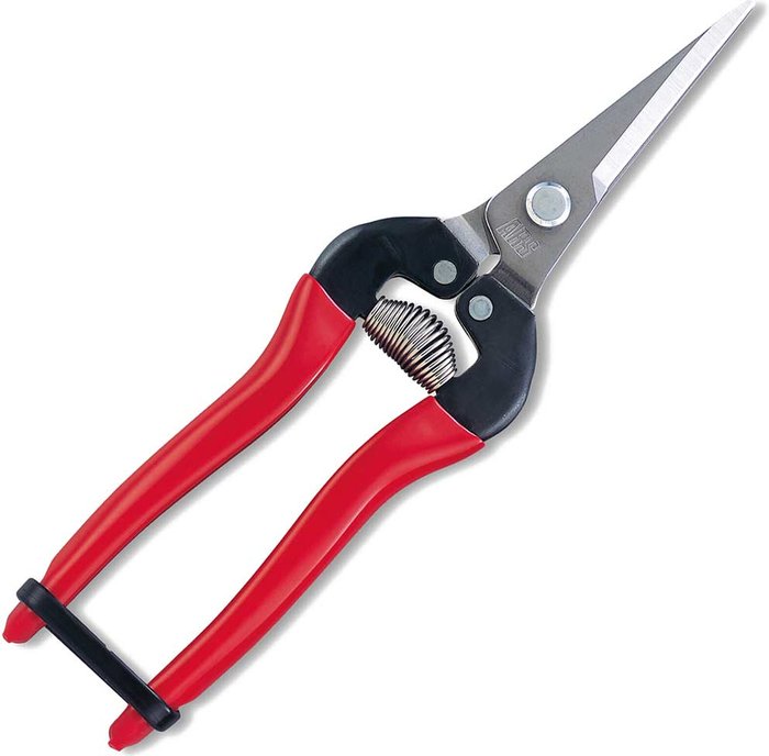 Tooled Up | ARS ARS 300L-DX Stainless Steel Pointed Fruit Pruner ARS ARS 300L-DX Stainless Steel Pointed Fruit Pruner