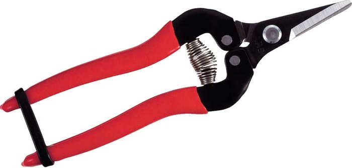 Tooled Up | ARS ARS 300SS Short Blade Fruit Pruner 170mm ARS ARS 300SS Short Blade Fruit Pruner 170mm