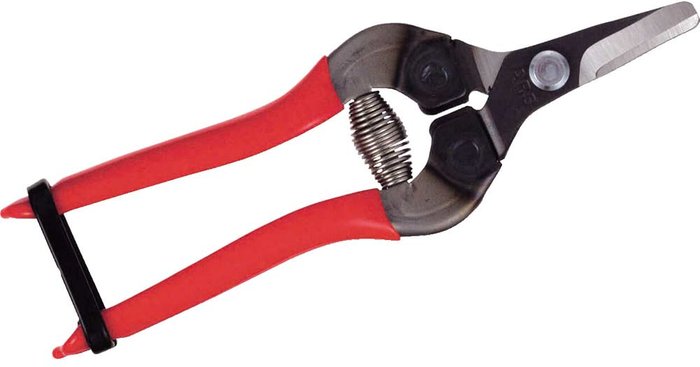 Tooled Up | ARS ARS 310 Curved Blade Fruit Pruner 160mm ARS ARS 310 Curved Blade Fruit Pruner 160mm