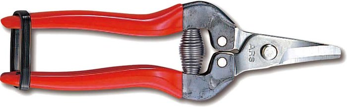 Tooled Up | ARS ARS 310DX Fruit Pruner Stainless Steel Blade 170mm ARS ARS 310DX Fruit Pruner Stainless Steel Blade 170mm