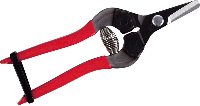 Tooled Up | ARS ARS 310-T Straight Blade Fruit Pruner 160mm ARS ARS 310-T Straight Blade Fruit Pruner 160mm