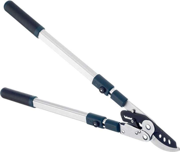 Tooled Up | Bulldog Bulldog Evergreen Extendable Bypass Loppers Bulldog Bulldog Evergreen Extendable Bypass Loppers