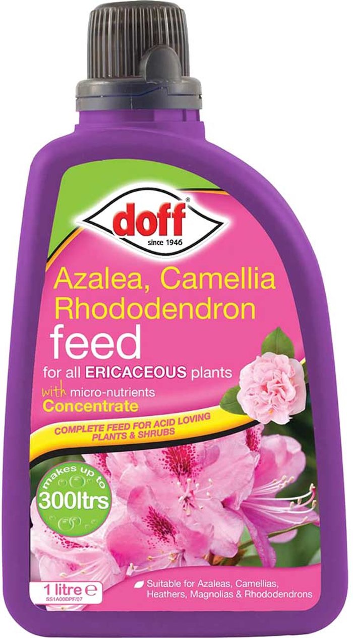 Tooled Up | Doff Doff Azalea, Camellia and Rhododendron Feed 1l Doff Doff Azalea, Camellia and Rhododendron Feed 1l