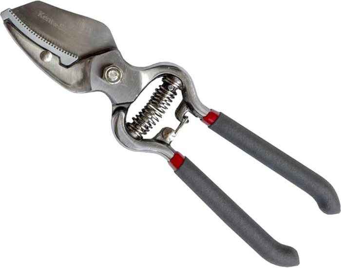 Tooled Up | Kent & Stowe Traditional Anvil Secateurs Cutters Pruners Carbon Steel Kent & Stowe Traditional Anvil Secateurs Cutters Pruners Carbon Steel