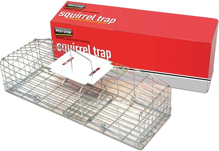 Tooled Up | Proctor Brothers Proctor Brothers Squirrel Trap Proctor Brothers Proctor Brothers Squirrel Trap