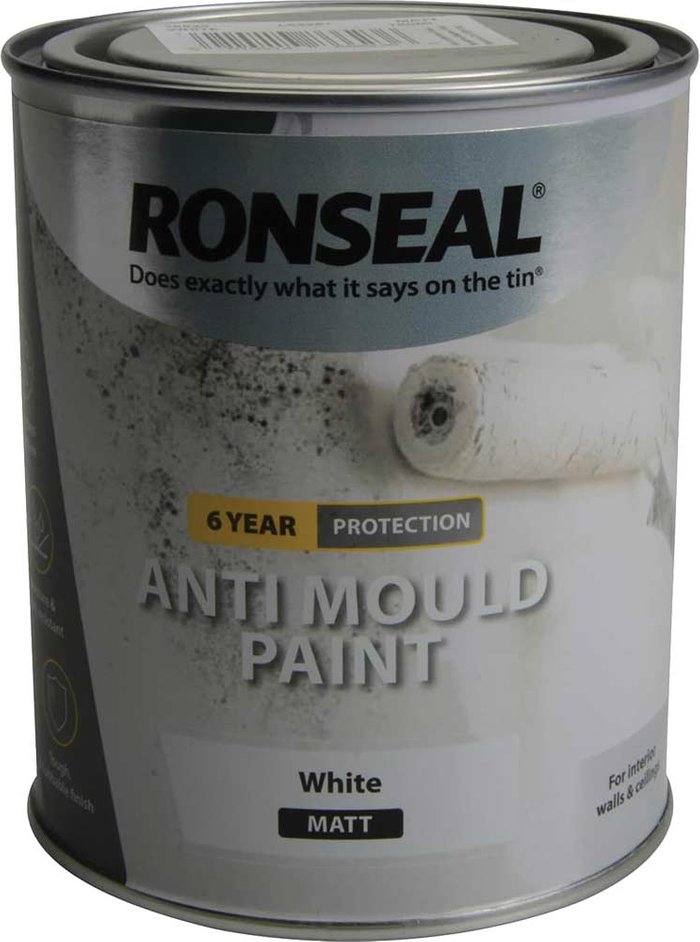 Tooled Up | Ronseal Ronseal Anti Mould Paint White Matt 750ml Ronseal Ronseal Anti Mould Paint White Matt 750ml