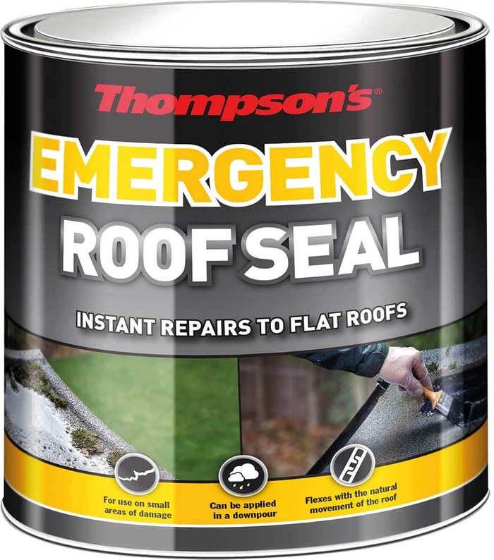 Tooled Up | Thompson's Thompson's Black Emergency Roof Seal - 1L Thompson's Thompson's Black Emergency Roof Seal - 1L