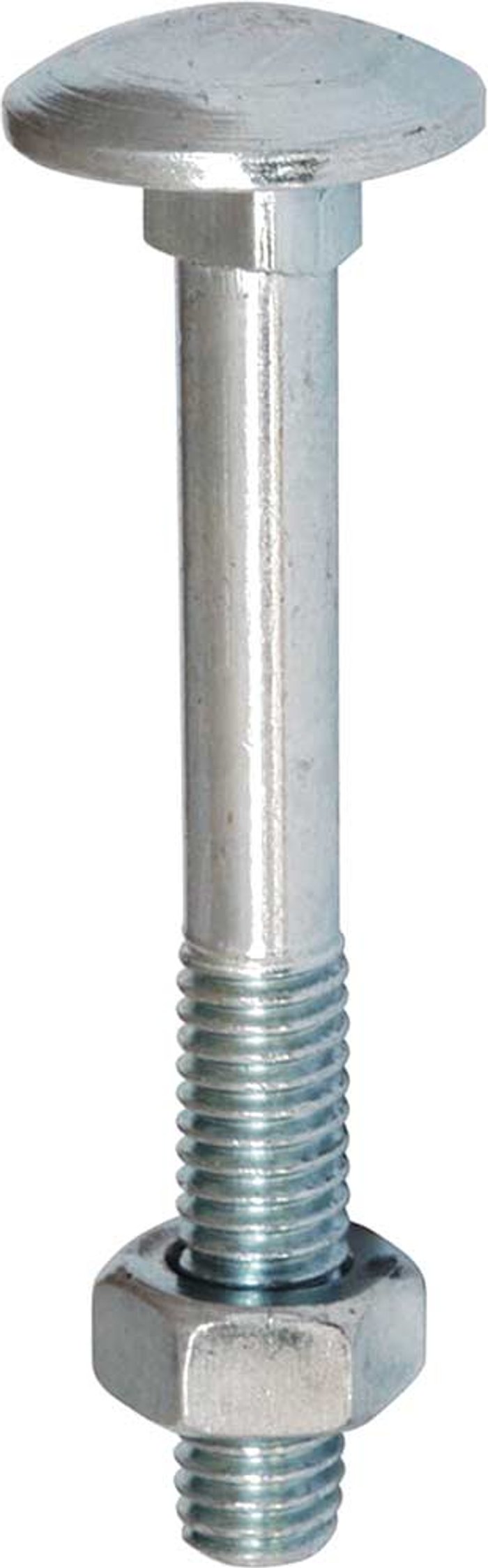 Tooled Up | Timco Coach Bolt and Nut Stainless Steel M8 100mm Pack of 4 Timco Coach Bolt and Nut Stainless Steel M8 100mm Pack of 4