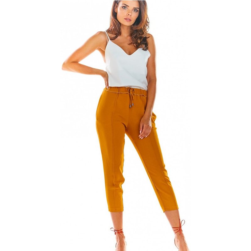 Women trousers model 144653 awama - M - Brown