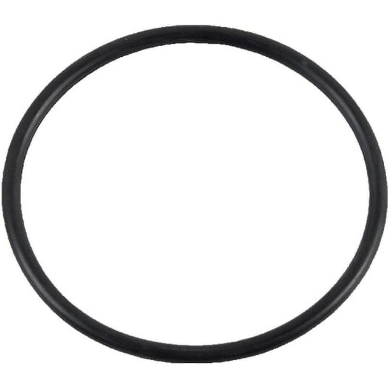New Holland (CNH) Sealing ring 14458180