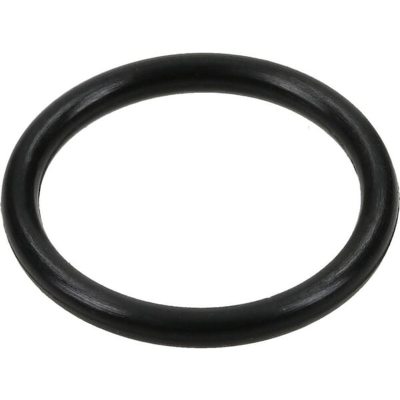 CNH O-ring 132773038
