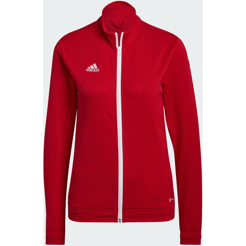 Chaqueta Entrada 22