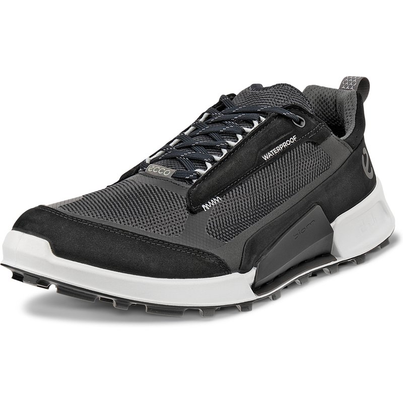 Hiking shoes Ecco Biom 2.1 X Mountain