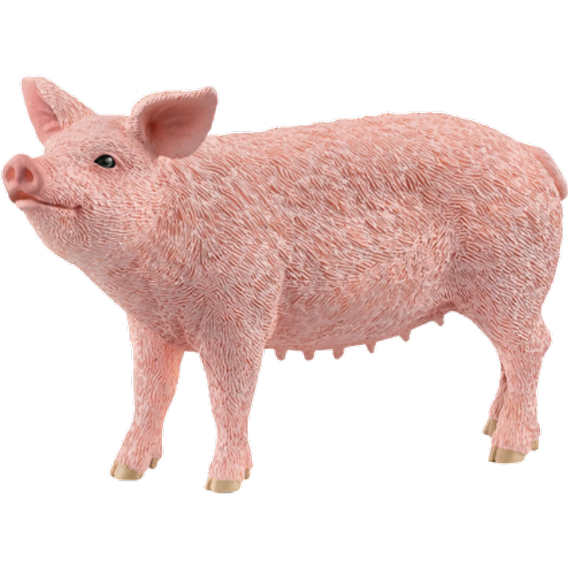 Schleich Pig Figure – 13933