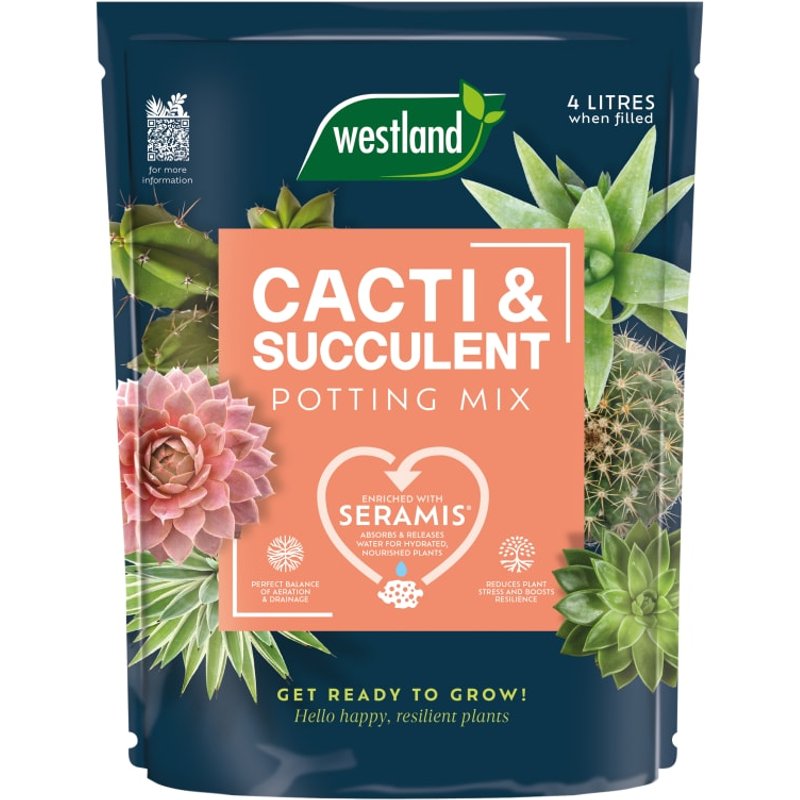 Westland Cacti & Succulent Potting Mix Peat Free 4L 10200094