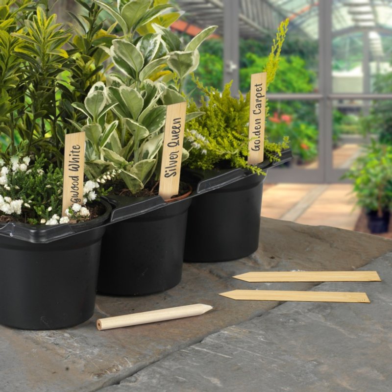 Ambassador Bamboo Plant Labels & Pencil 10 Piece AMBE6