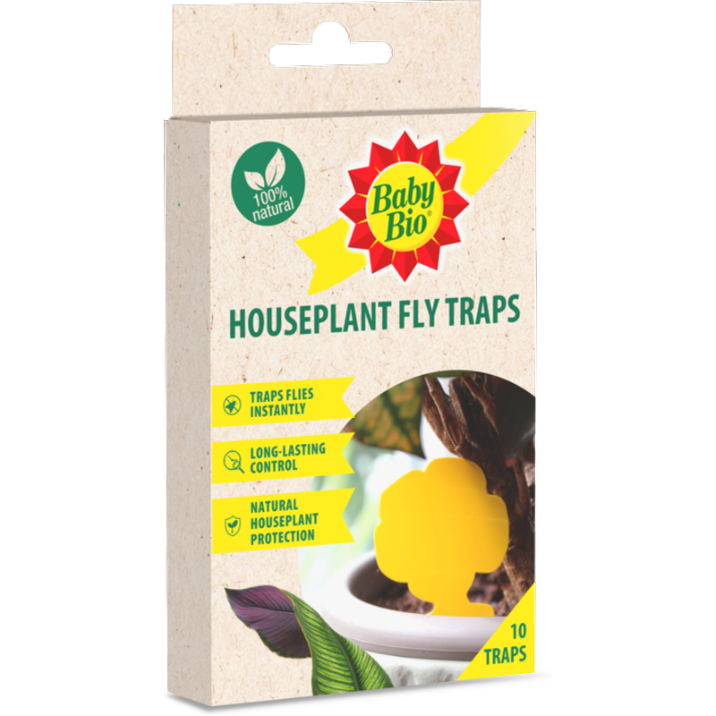 Baby Bio Houseplant Fly Traps 86601748