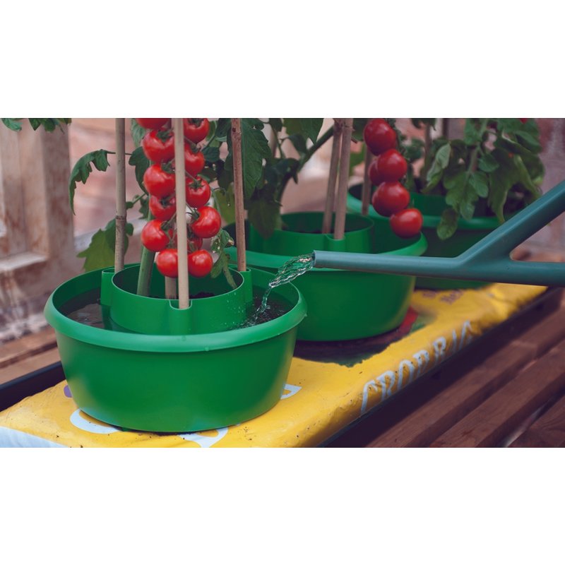 Garland Plant Halos Green G167G