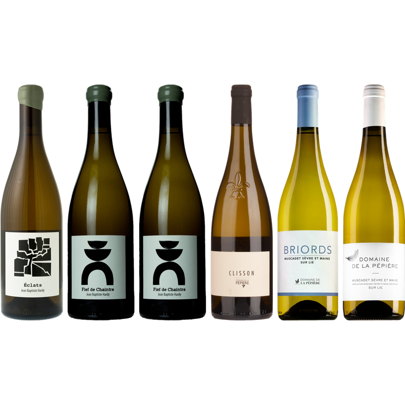 Muscadet Premium Verkostungsset