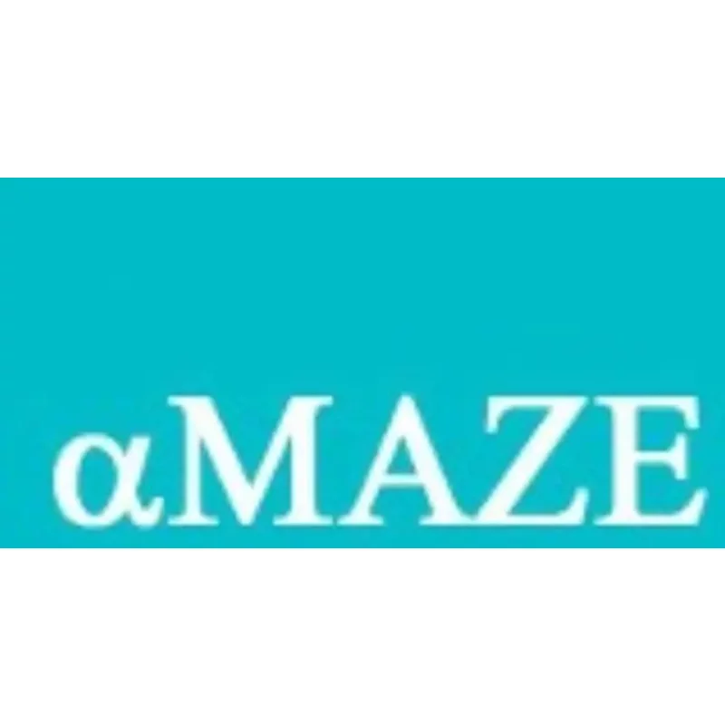 Buy aMAZE Steam CD Key - Steam Key | Instant Delivery