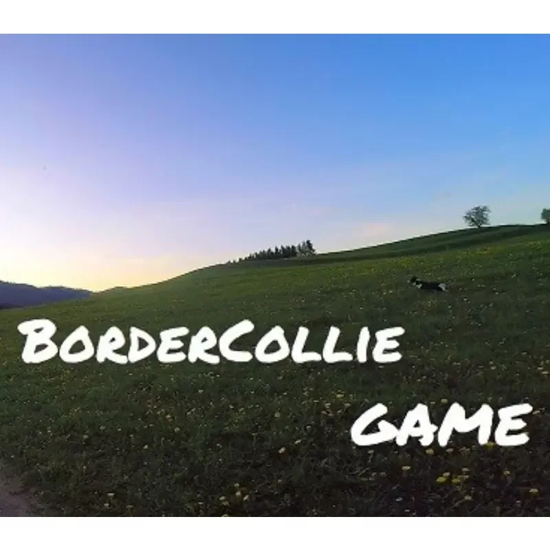 Buy BorderCollie Game Steam CD Key - Steam Key | Instant Delivery
