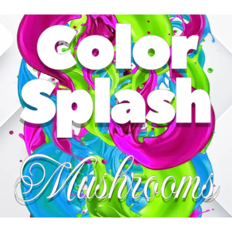 Buy Color Splash: Mushrooms PC Steam CD Key | Instant Deliv