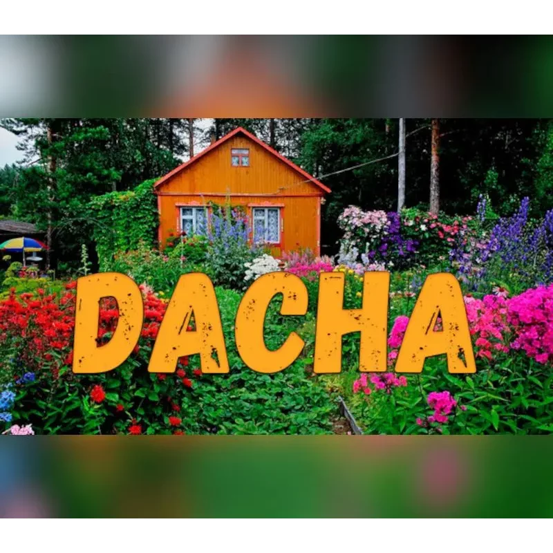 Buy DACHA PC Steam CD Key | Instant Delivery | Best Price