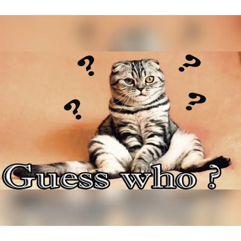 Guess Who? PC Steam CD Key - Action Quiz Game on Steam