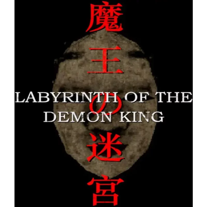 Buy Labyrinth Of The Demon King | Instant Delivery 2026